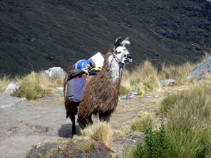 Trekking Olleros Chavin